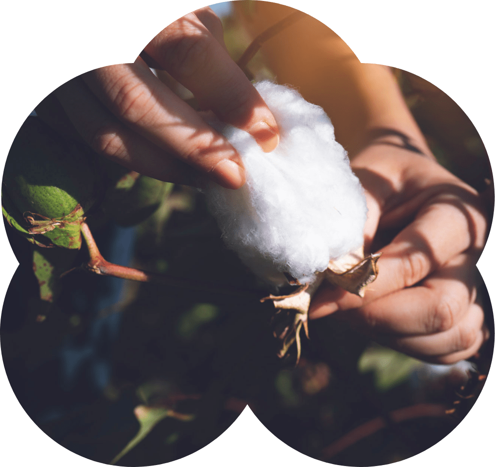 natural icon